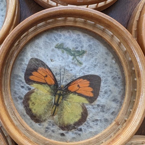 Vintage butterfly coasters - Picture 5 of 7